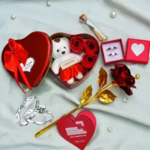 PRIDE STORE Artificial Flower, Jewellery, Soft Toy, Message Pills, Showpiece, Greeting Card Gift Set
